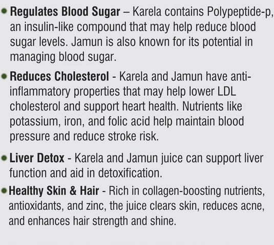 Unifibe Karela Jamun Juice - 1L